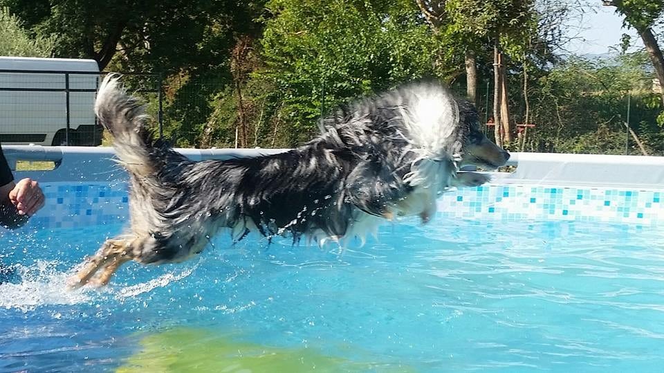 Un tuffo nella piscina