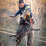 Allenamento sportivo con cane e figurante, foto fornita da Dogs Club