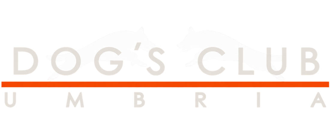 Dogs Club