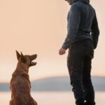 Intesa tra cane e conduttore – foto fornita da Dogs Club