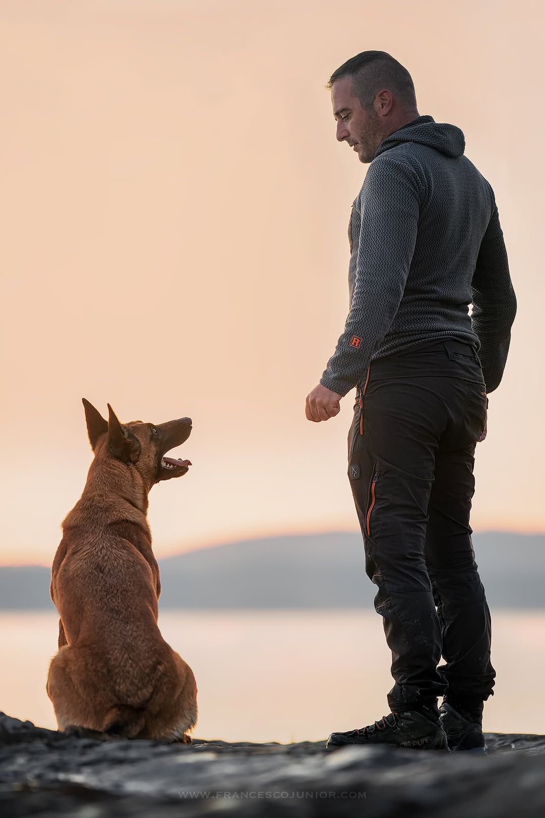 Intesa tra cane e conduttore – foto fornita da Dogs Club