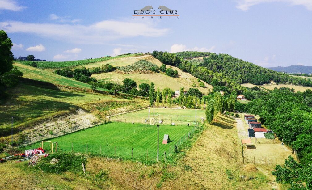 Il centro Dogs Club immerso nella campagna umbra, foto del proprietario da Google Maps