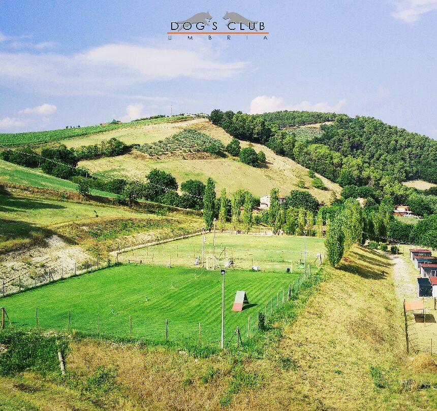 Il centro Dogs Club immerso nella campagna umbra, foto del proprietario da Google Maps