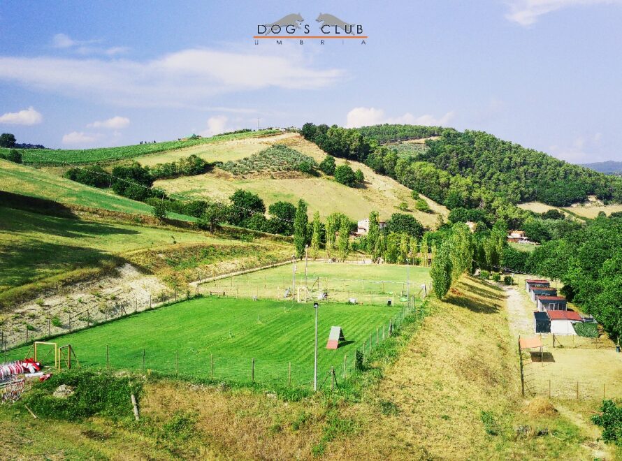 Il centro Dogs Club immerso nella campagna umbra, foto del proprietario da Google Maps