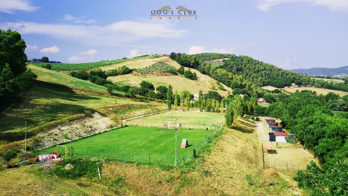 Il centro Dogs Club immerso nella campagna umbra, foto del proprietario da Google Maps